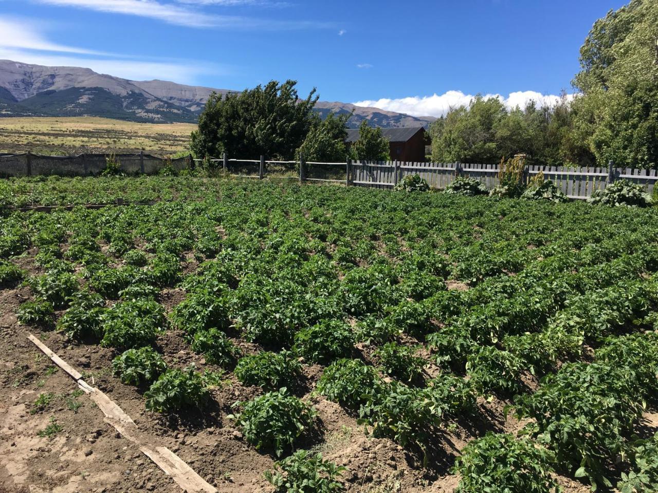 Hosteria Tercera Barranca 토레스 델 파이네 외부 사진